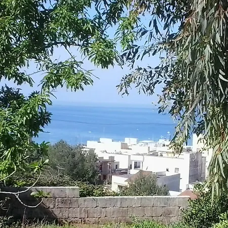 Le Piramidi *